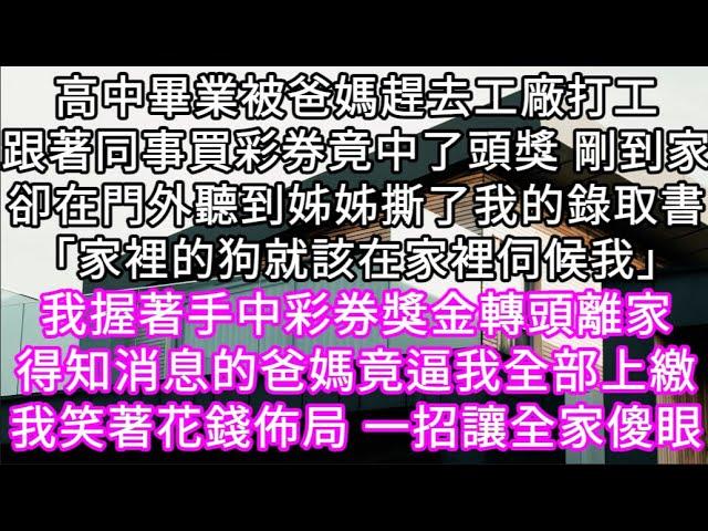 高中畢業被爸媽趕去電子工廠打工跟同事一起買彩券竟中了頭獎 剛到家在門外卻聽到姊姊撕了我的錄取通知書「她就是家裡的狗就該在家裡伺候我」 #心書時光 #為人處事 #生活經驗 #情感故事 #唯美频道 #爽文