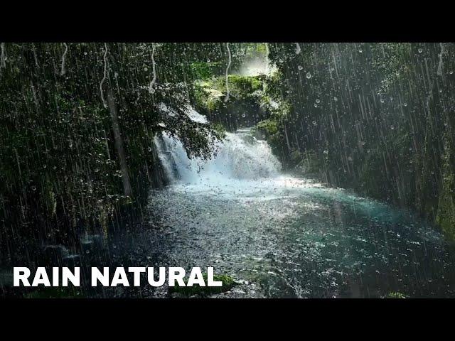 Relaxing Rain Noise And Forest Stream - Water Sound For Sleeping