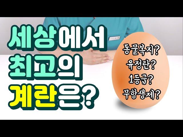 세상에서 가장 좋은 계란 제품은? (좋은 달걀 고르는 법)