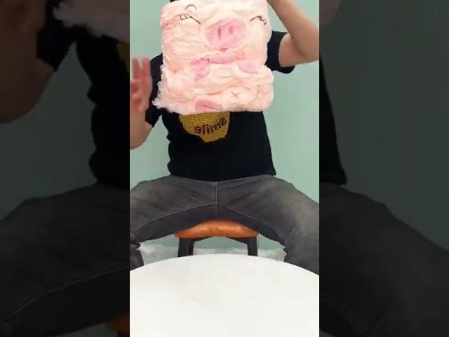 pig doll#plushdoll #foryoupage #soft #dolly #fyp