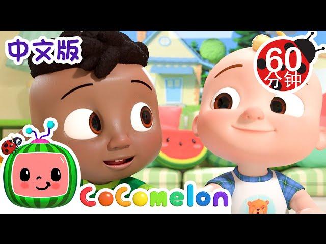 和Cody一起玩耍 | 大合集 | 經典熱門兒歌 | Kids Song | 動畫 | 童謠 | 儿童学习 | 卡通片 | CoComelon 中文 | Nursery Rhymes