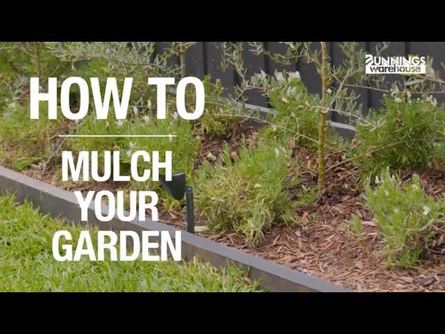 How To Mulch Your Garden: A Step-By-Step Guide from Bunnings Warehouse