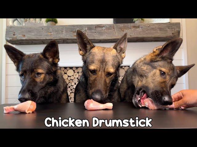 My 3 German Shepherds Review Raw Meat Parts