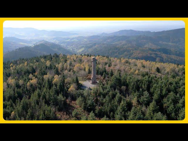 Mooskopfturm | Schwarzwald #schwarzwald #mooskopfturm #wandern #aussicht #outdoorscape