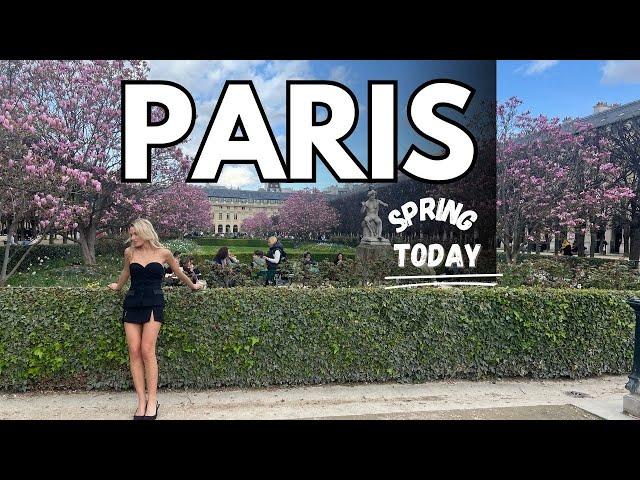 Paris France - Walking Tour in Paris - Jardin du Palais Royal in Spring