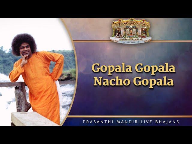 Gopala Gopala Nacho Gopala | Prasanthi Mandir Live Bhajans | Sai Kulwant Hall