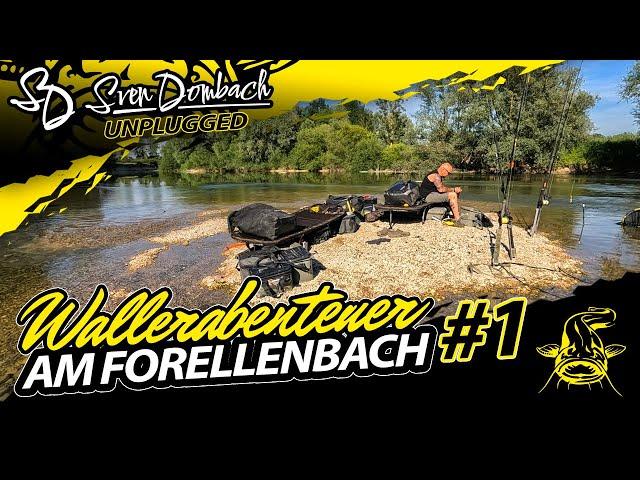 Welsfischen | WALLER ABENTEUER am FORELLENBACH | Roadtrip Teil 1