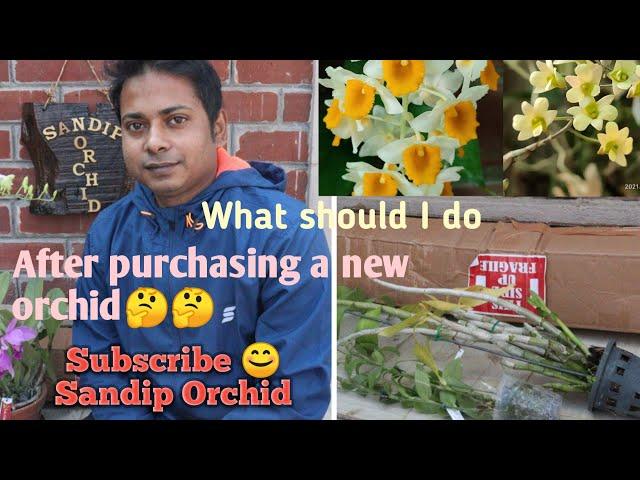 What I should do after purchasing a new orchid।।care of new plant।।Sandip Orchid