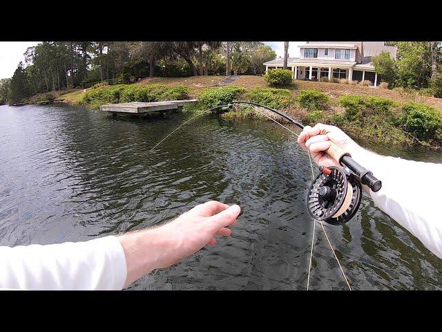 TOPWATER Fly Fishing for Bass w/ a FROG FLY!!!