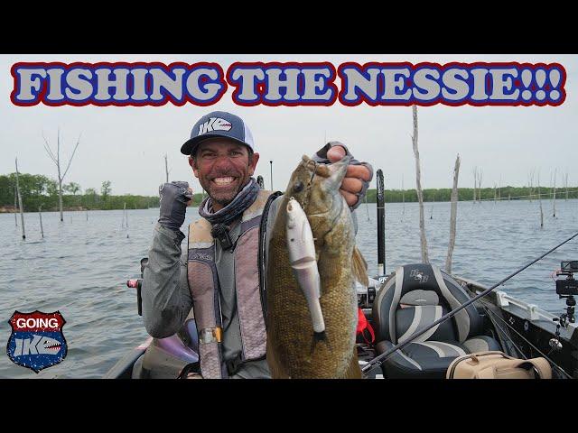 Unleash the Power of the Berkley PowerBait Nessie!!! Big Fish Catches!!!