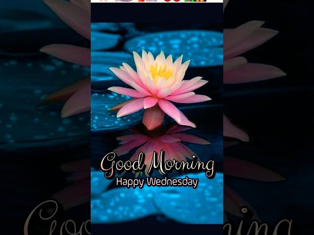 #happywednesday#relaxing#nature #love#morning#goodmorning #congratulations#wishes#whatsapp_status