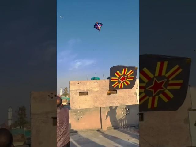 big kite flying #kite #patang #kiteflying #kitevideo #patangbazi #patangkivideo #kitelooting