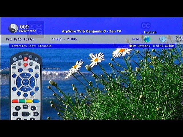 Zen TV ️ (Frutiger Aero / Vaporwave Mix)