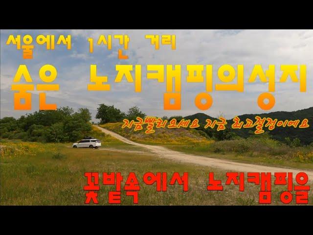 경기 여주 숨은 노지캠핑의성지 /꽃밭속에서 노지캠핑을 빨리 오세요 지금의 최고 절정입니다