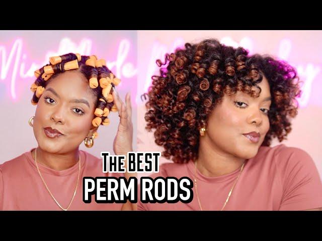 The Best Perm Rod Set!! + Healthy Hair Check-In