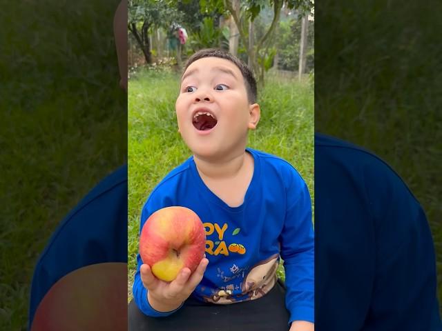 Cậu bé tốt bụng Gỡ bỏ nhãn dán Apple#camping#apple#lifehacks#outdoors #funny #shorts 