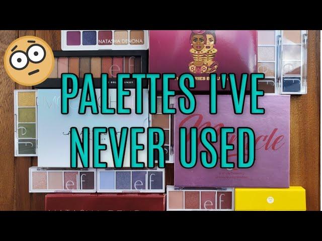 Palettes I've Never Used   It's Embarrassing