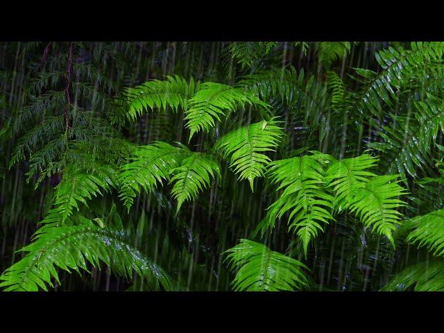 Fall Asleep with 10-Hour Rainforest Ambience | Rain Sounds for Sleeping & Relaxation