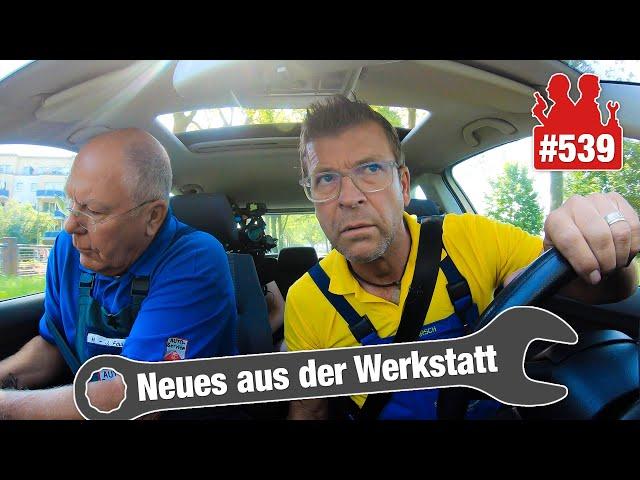 Motorschaden im Ford EcoBoost mit 37.000 km?  | Warum KLAPPERT der Polo?? 