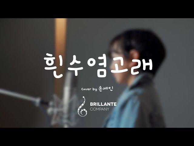 [Brillante youtube cover] 흰수염고래(위키드ver.) cover by 손세인