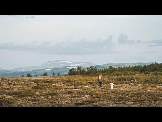 MIDSUMMER IN THE MOUNTAINS | #12 Life in Norway