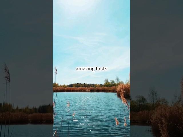 amazing facts that will blow your mind #shorts #facts