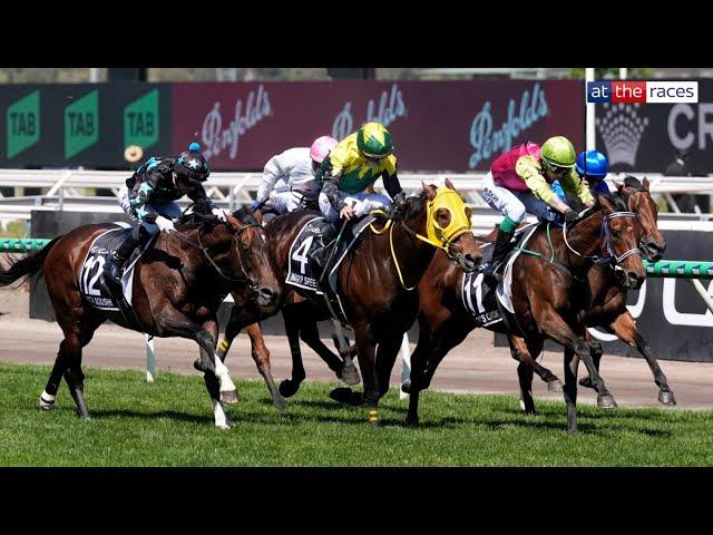 Melbourne Cup 2024 Replay | 90/1 shot Knight's Choice wins it in a photo finish under Robbie Dolan!