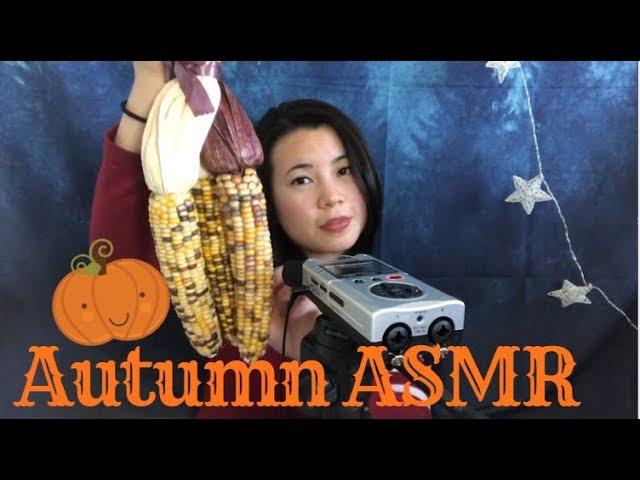 [ASMR]  Autumn Triggers | Tapping, Scratching, Deep in your ears binaural sounds