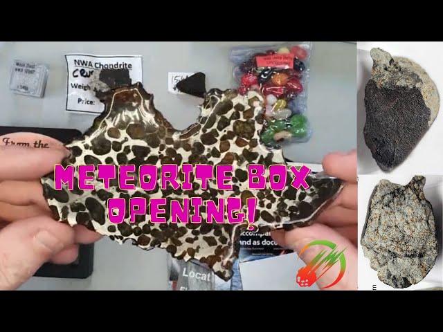 Meteorite Package Unboxing! Tatahouine Diogenite, Eucrites, Sericho, Wad Lahteyba fall, Lunar Dust