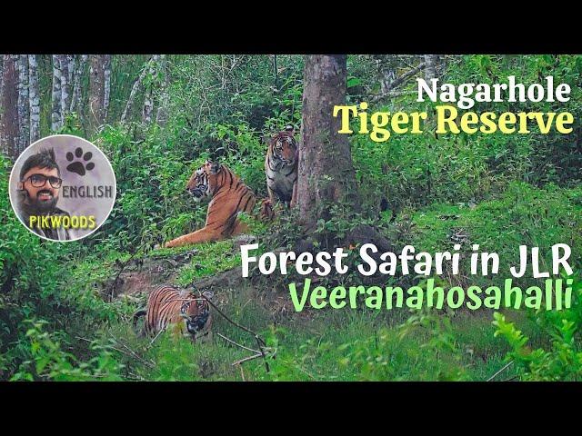 Nagarhole Tiger reserve in India | English version of JLR Forest safari in Coorg Karnataka