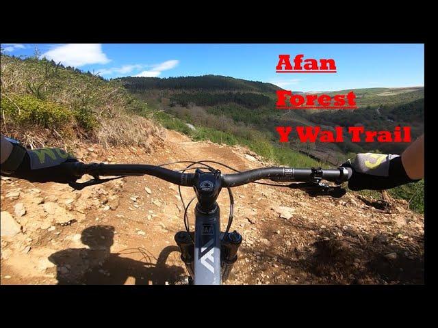 Afan Forest - Y Wal Trail with new descent, Easter Sunday