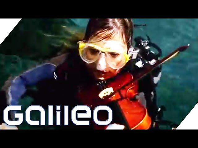 Lässt sich eine Geige unter Wasser spielen? | Finde den Lügner | Galileo | ProSieben