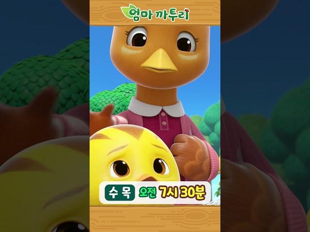 [엄마까투리6] 수목 오전 7시 30분 #엄마까투리 #까투리 #katuri