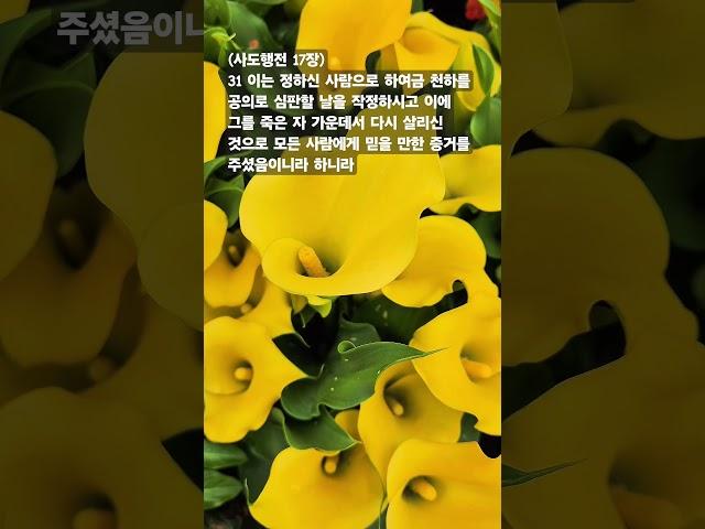 말씀찬양 행 17:31 부활하신 예수 그리스도로 다시 일어납시다.