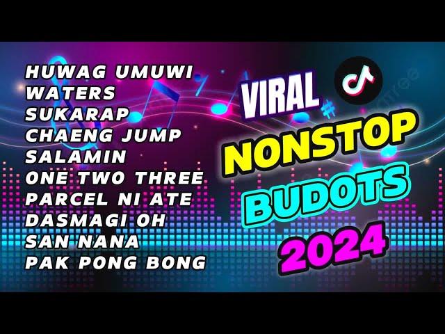 TIKTOK BUDOTS MASHUP DISCO PARTY REMIX 2024 - VIRAL NONSTOP BUDOTS 2024 - THE VIRAL REMIX HUB