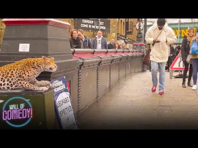 LEOPARD PRANK! - In Camden Town!