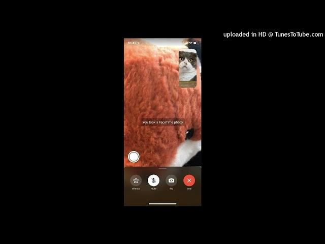 (Free) Veeze Type Beat - FaceTime | prod.dracomadeit