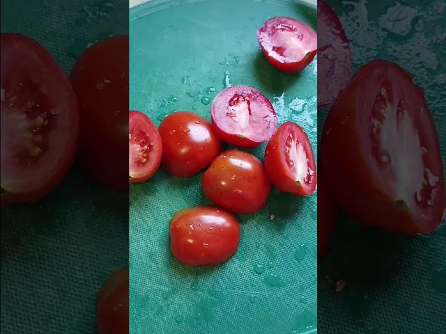 #tomato #tomatochutney #itly #cooking #everyday #everydaycooking #simple #tasty #recipe #shortvideo