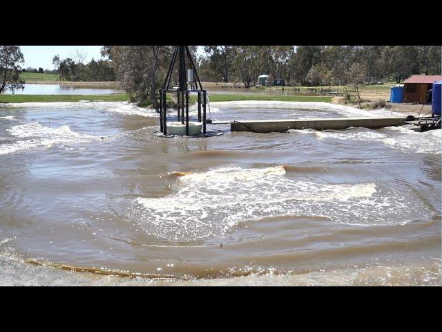 Surf Lakes prototype to full scale model! Surreal experience