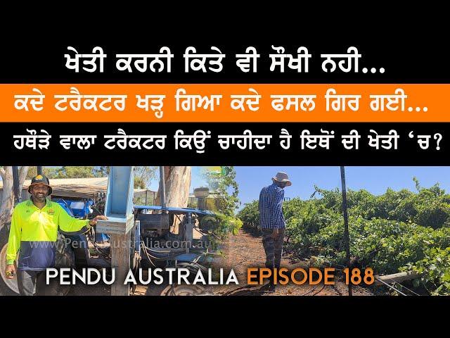 Farming Of Wine Grapes in Australia ~ Hammer Tractor ~ Pendu Australia Episode 188~ Mintu Brar