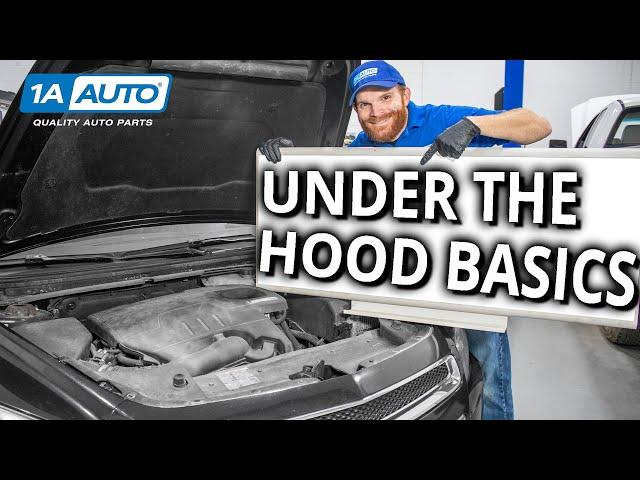 Under the Hood Basics! Learn About the Stuff Under Your Car's Hood!