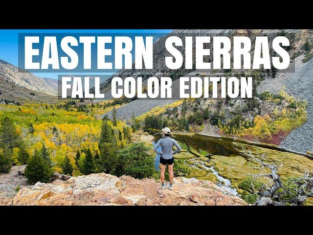 Eastern Sierra...Best Fall Color in California