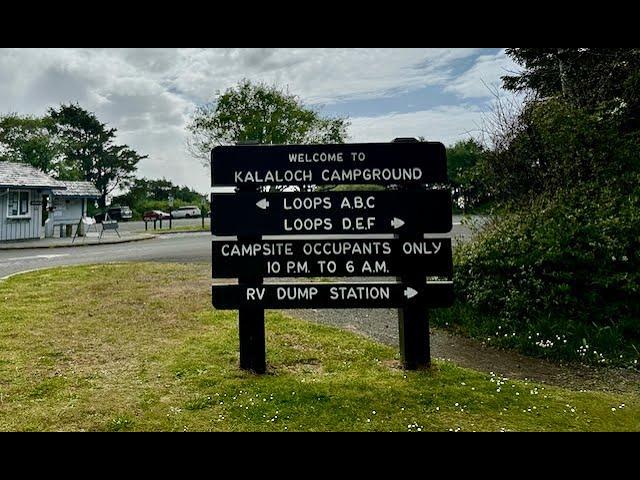 Kalaloch Campground Tour - Olympic National Park June 2024