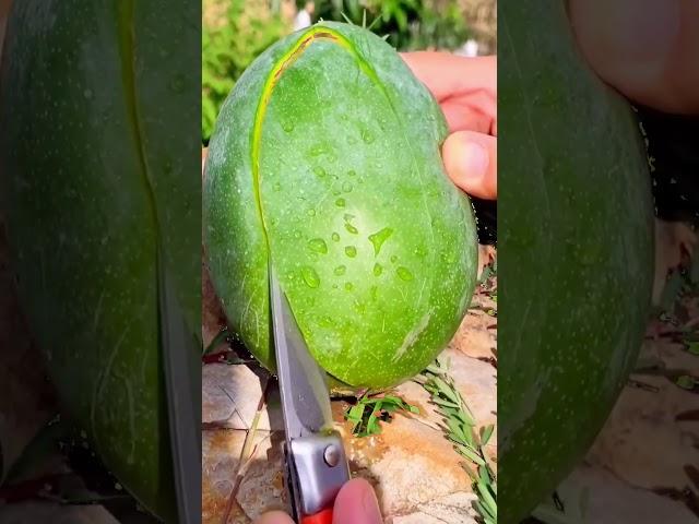 Fruta EXTRATERRESTRE  #alien #aliens #fruta #filtro #viral #marciano #marcianos #short