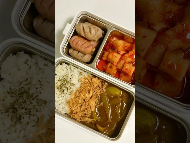 직장인 점심 도시락 만들기 #lunchbox #shorts