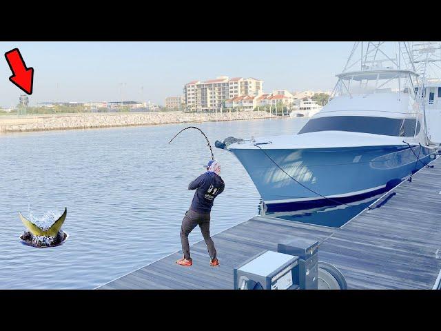 Catching Monster Trophy Fish from a Popular Marina!