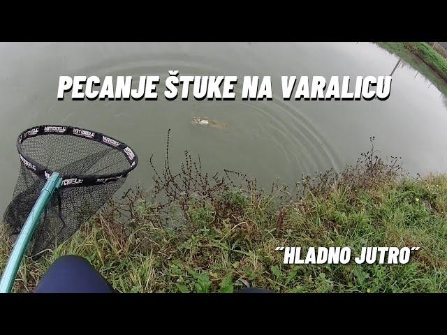 Jutarnja štuka na silikonsku varalicu - Pike Fishing in Morning