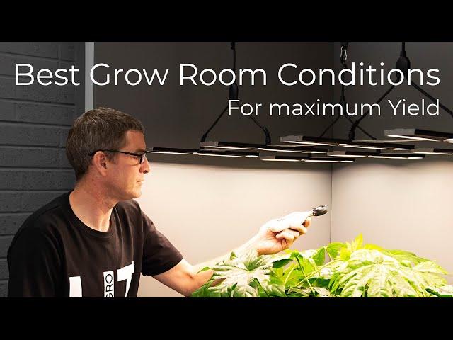 Best Grow Room Conditions to maximise growth and yield | Light (PAR), Temperature, Humidity and Air