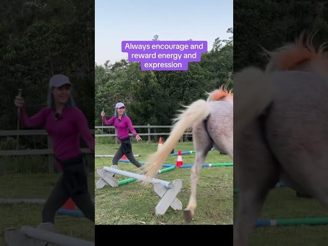 Things I do with my liberty horse that just makes sense  #equestrain #horse #libertyhorse