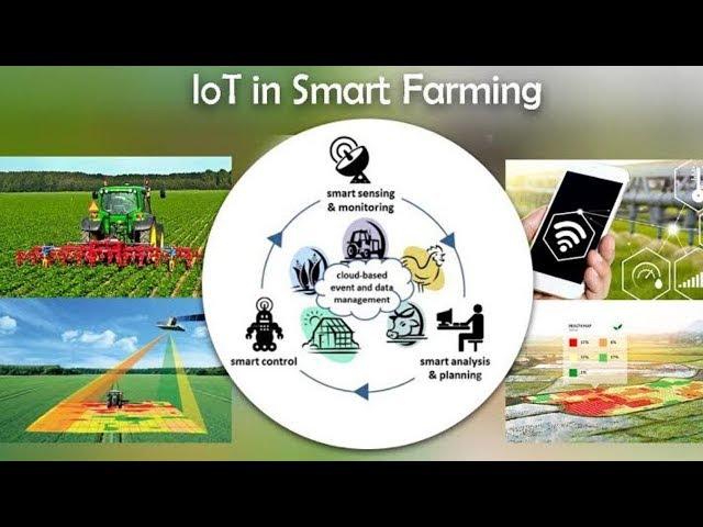 SMART FARMING - TOP 5 BENEFITS OF IoT IN SMART FARMING